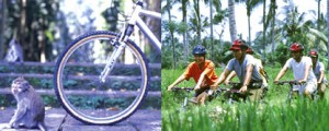 Ayung Bali Cycling Adventures