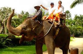 Elephant Ride in Bali